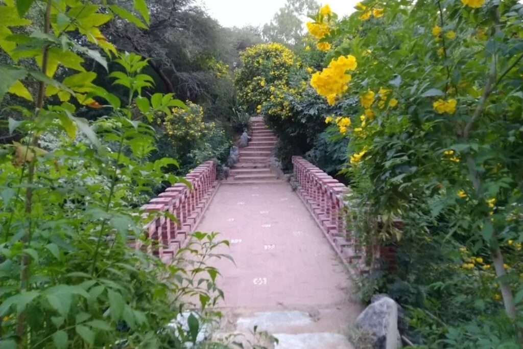 Smriti Van